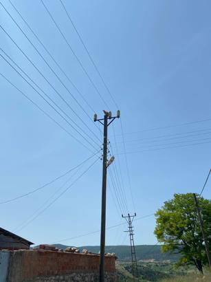 Elektrik direğinde mahsur kalan kedi kurtarıldı