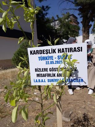 Suriyeli öğrenciler, okullarına kardeşlik fidanı dikip ülkelerine döndü
