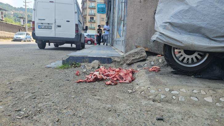 Eti temizlenen yağ ve kemikler sokağa bırakıldı