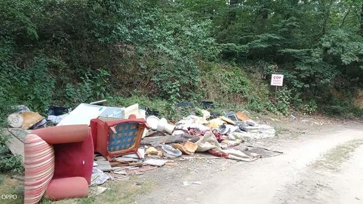 Sakarya’da kurban atıkları ormana atıldı