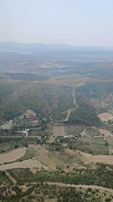 İzmir’de makilik yangını (2)