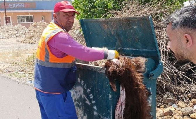 İslahiye’de 260 ton kurban atığı toplandı