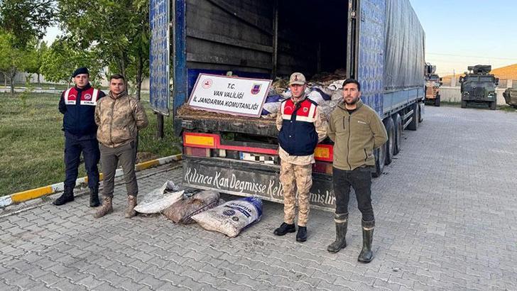 Van'da 19 ton ölü inci kefali ele geçirildi