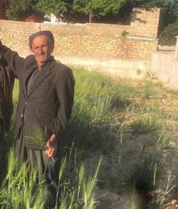 Akraba ailelerin silahlı 'arazi' kavgası: 1 ölü, 10 yaralı (2)