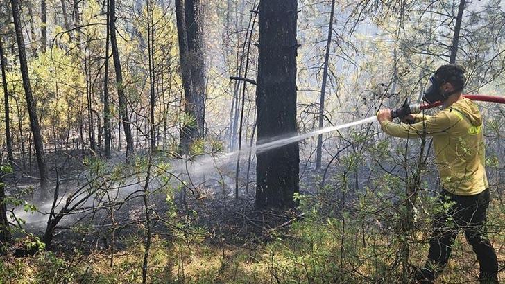 Bolu'da örtü yangını