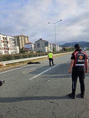 Rize'de hafif ticari araç, bariyerlere çarptı: 2 ölü, 3 yaralı