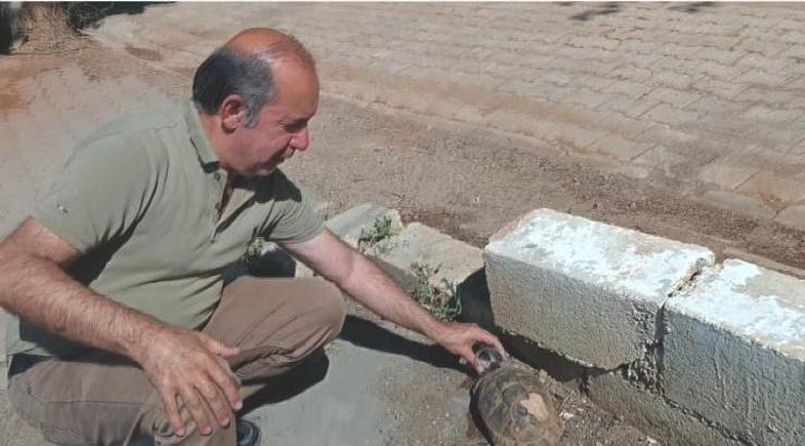 Kaplumbağaya elleriyle su içirdi