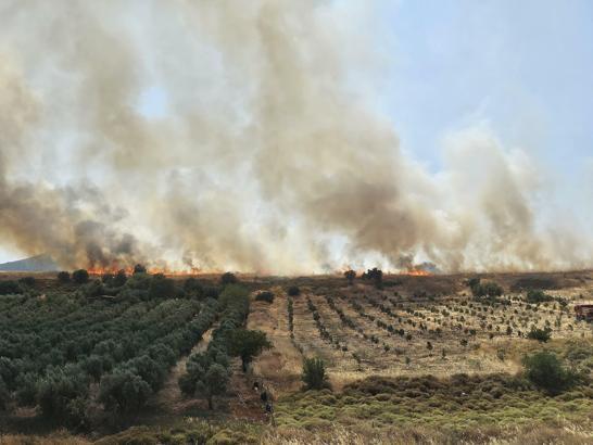 Foça'da ot yangını; 4 hektarlık alan zarar gördü