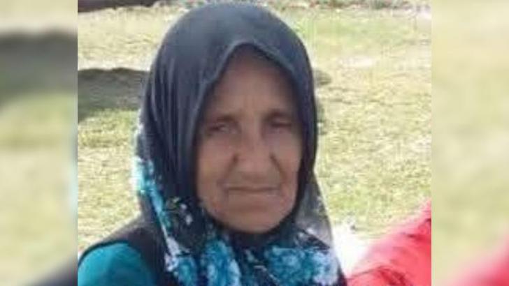 Ordu'da, hafriyat kamyonunun çarptığı yaya öldü