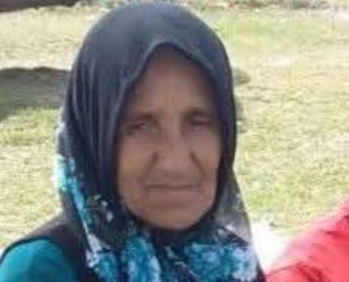 Ordu'da, hafriyat kamyonunun çarptığı yaya öldü