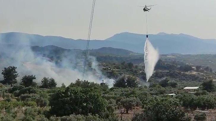 Manisa'da tarım arazisindeki yangın, ormanı da yaktı