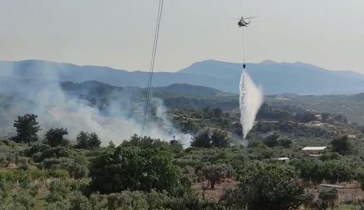 Manisa'da tarım arazisindeki yangın, ormanı da yaktı