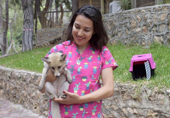 Hayvan kreşinde bakılan Venüs ve Latte büyüyor