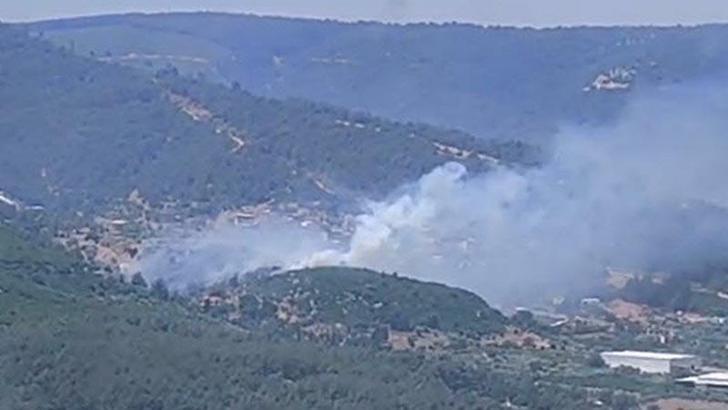 İzmir'de çıkan orman yangını kontrol altında