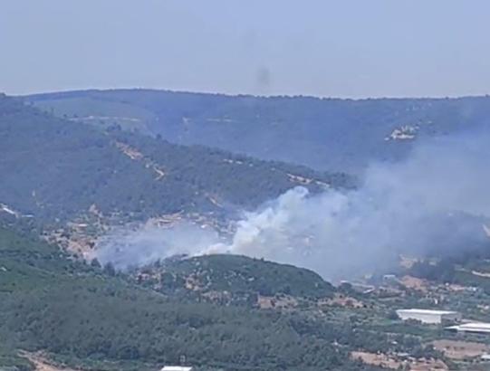 İzmir'de orman yangını