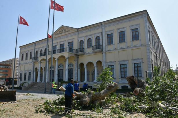 İzmir Valiliği önündeki asırlık çınar devrildi; o anlar kamerada
