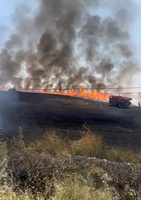 Batman’da 20 dönüm ekili buğday yandı