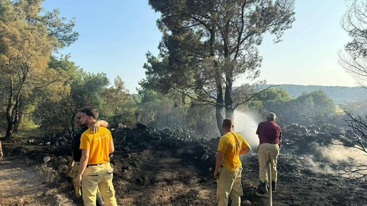 Mangal yaparken ormanı yakmış; tutuklandı