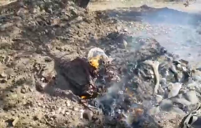 Edremit'te çöplükteki yangın, tarım arazisine sıçradı; söndürüldü