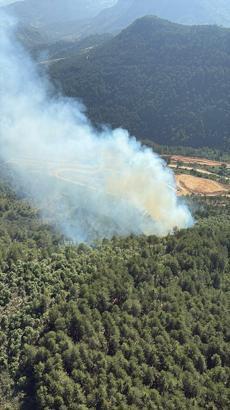 Balıkesir'de orman yangını