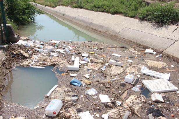Kurban atıkları kanallara atıldı; kötü görüntü ve koku sağlığı tehdit ediyor