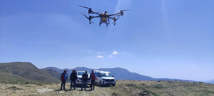 Salihli'de çekirgeye karşı havadan ve karadan mücadele