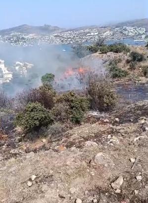 Bodrum'da maki yangını