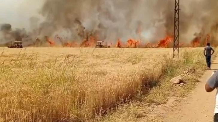 Şanlıurfa'da 40 dönüm ekili buğday yandı