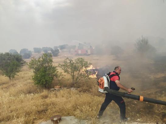 Mardin’de 15 dönüm ekili buğday yandı