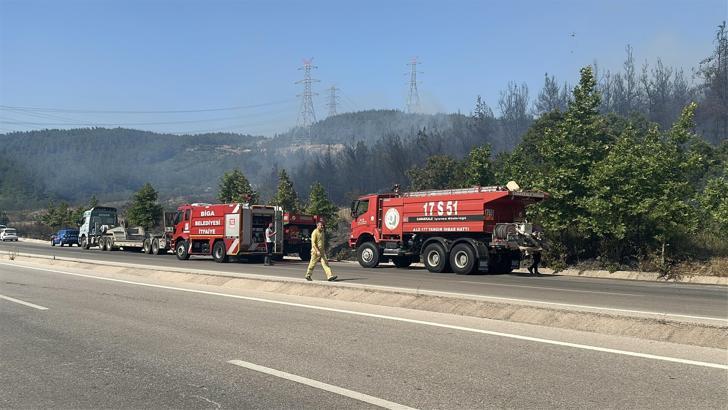 Çanakkale'de orman yangını (2)