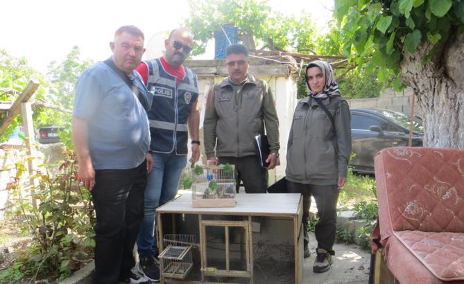 Kırşehir’de yasa dışı saka kuşu ticareti yapan kişiye 77 bin TL ceza