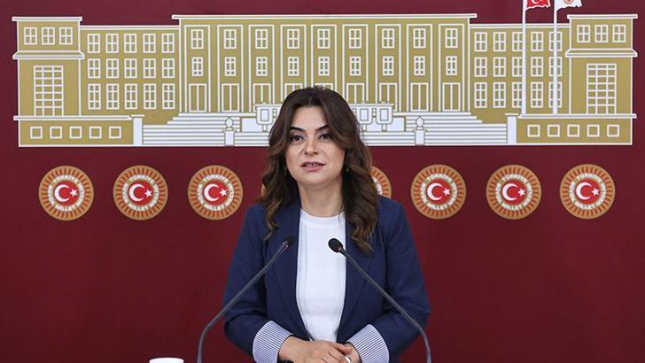 DEM Parti'li Koçyiğit: Bütün partiler İmralı'ya gitmeli