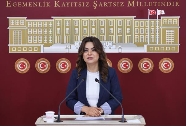 DEM Parti'li Koçyiğit: Bütün partiler İmralı'ya gitmeli