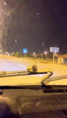 Otomobile giren yılan, seyir halinde ön cama çıktı