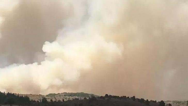 Ankara'da orman yangınlarına karşı 'açık ateş' yasağı
