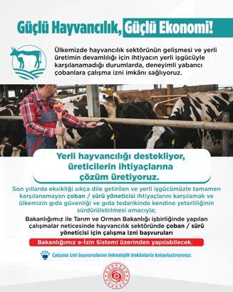 Yabancı çobanlara çalışma izni başvuruları başladı