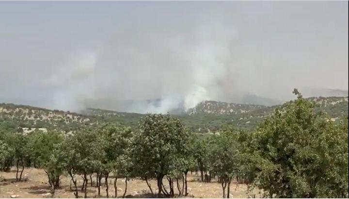 Mardin'de orman yangını