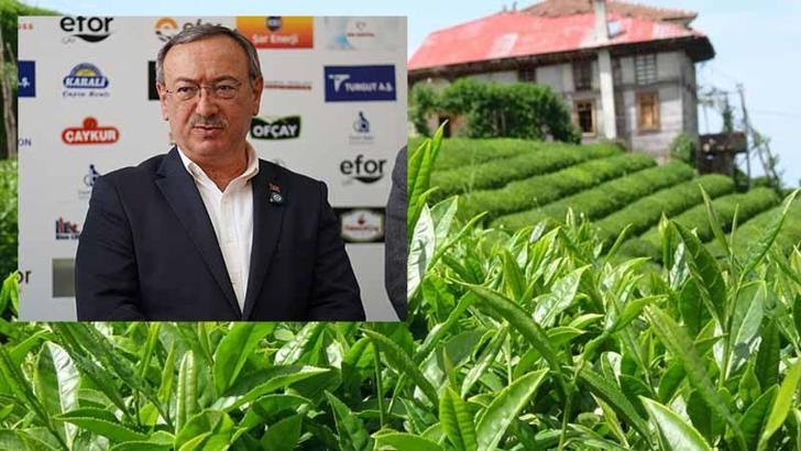 ÇAYKUR Genel Müdürü Alim: Toprağımızın yapısal özellikleri kaybolmaya başladı