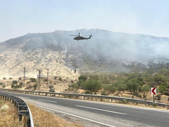 Mardin'de orman yangını (2)