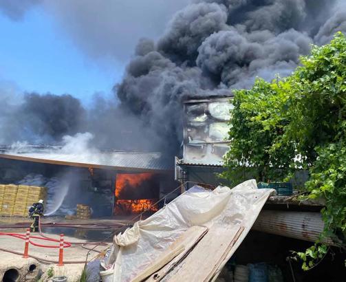 Antalya'da fide üretim tesisinde yangın/Ek fotoğraflar