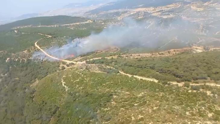 Foça'da orman yangını