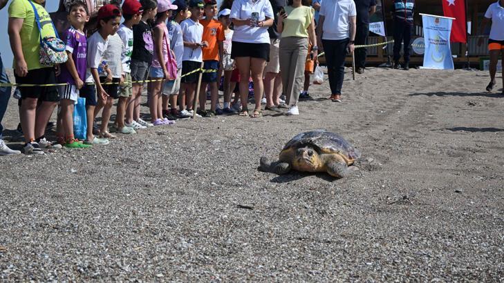 Yaralı bulunan deniz kaplumbağası tedavi sonrası Akdeniz'le buluştu