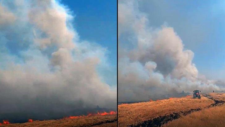 Mardin'deki yangında 1000 dönüm buğday yandı