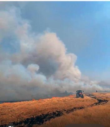 Mardin'deki yangında 1000 dönüm buğday yandı