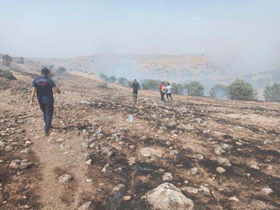 Mardin'de orman yangını (3)