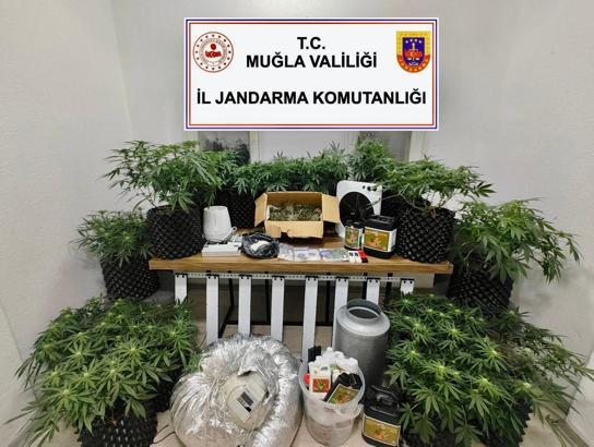 Bodrum'da uyuşturucuya 1 tutuklama