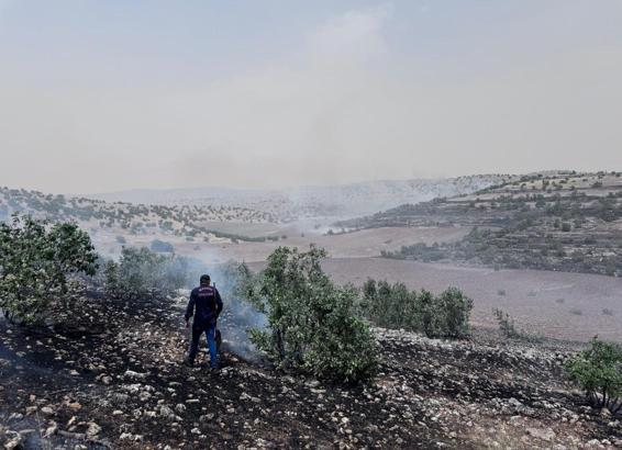 Mardin'de orman yangını (4)