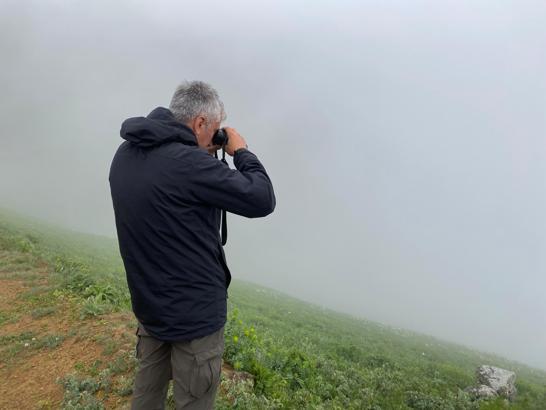 Dağ horozu gözlemine sis engeli