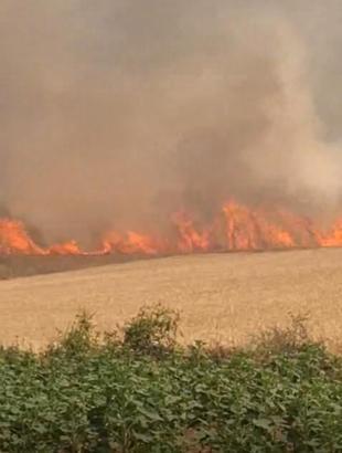 Çanakkale'de tarım arazisinde yangın