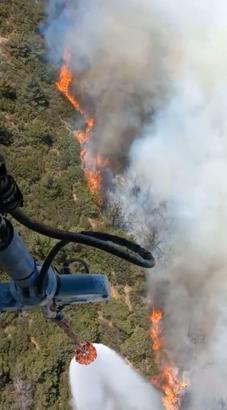 İzmir'de orman yangını